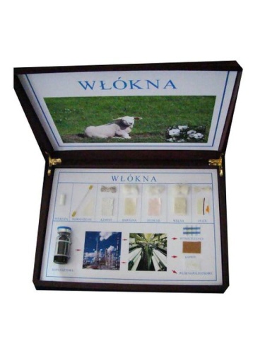 WŁÓKNO