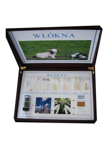 WŁÓKNO