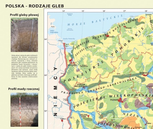 big_LR-MR-GE-32-Polska-rodzaje-gleb-frag.jpg