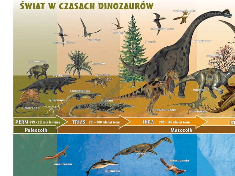 big_MR-BI-116_Ewolucja_dinozaurow_-_swiat_w_czasach_wielkich_gadow_1.jpg