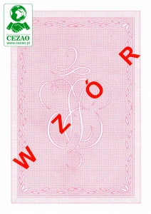 Gilosz A4 różowy (technikum) do świadectw czterostronnych