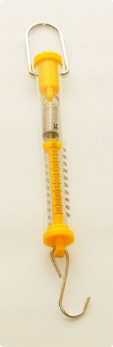 Dynamometr 50N