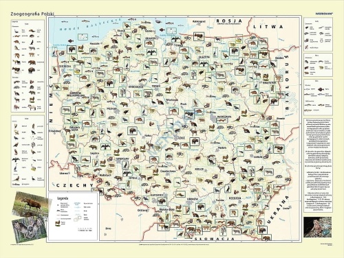big_MR-GE-92_Zoogeografia_Polski.jpg