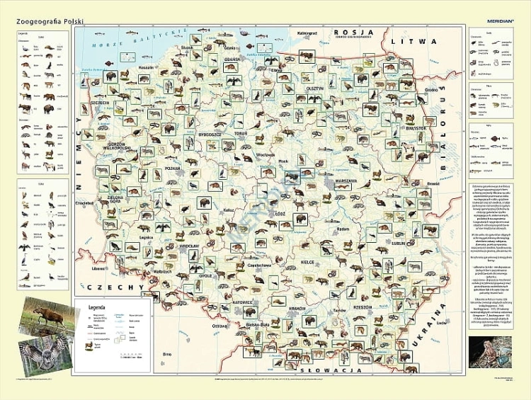big_MR-GE-92_Zoogeografia_Polski.jpg