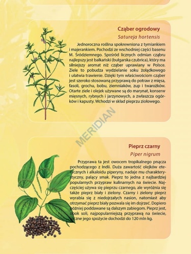 big_MR-BI-120-Rosliny-przyprawowe_02.jpg