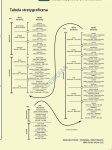 big_MR-GE-29_Geologia_Polski_Stratygrafia_03.jpg