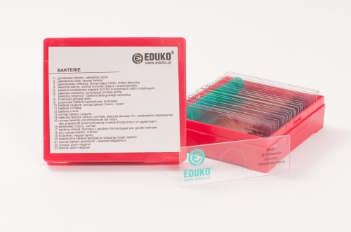 Bakterie - zestaw 23 preparatów EDUKO
