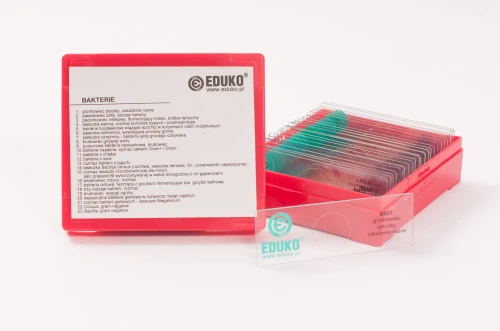 Bakterie - zestaw 23 preparatów EDUKO