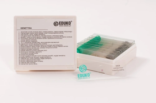 Genetyka - zestaw 25 preparatów EDUKO