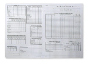Organizacja szkoły podstawowej A3