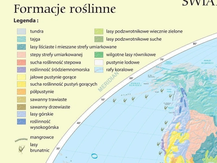 big_MR-GE-27_Formacje_roslinne_i_panstwa_florystyczne_01a.jpg