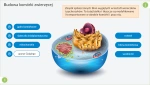 Interaktywne Plansze Przyrodnicze  -  BIOLOGIA 
