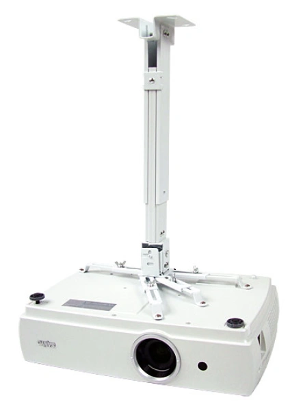 image 0.jpg