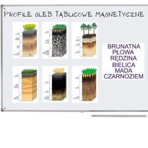 Profile gleb tablicowe magnetyczne – zestaw prezentacyjny