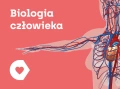Aplikacja-Corinth---Biologia-Czlowieka.png