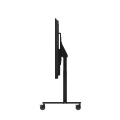 image 1.jpg