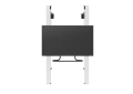 image 3.jpg