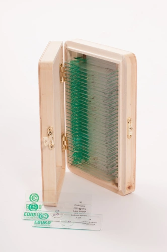 Preparaty tkankowe - zestaw 30 sztuk EDUKO