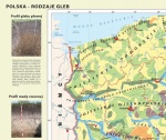 big_LR-MR-GE-32-Polska-rodzaje-gleb-frag.jpg