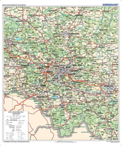 big_Slaskie_100x120_300_dpi-01_kopia.jpg