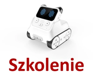 Szkolenie z kodowania