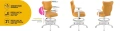image 4.jpg