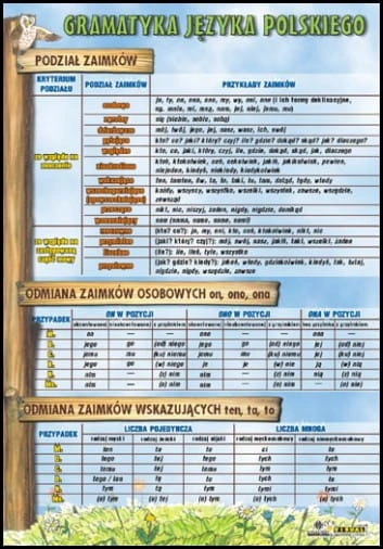 Podzia___zaimk___4b8fac23616cd.jpg