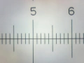 20110607_150013_056795.jpg