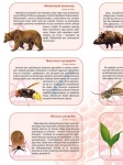 big_MR-BI-110_Niebezpieczne_zwierzeta_i_rosliny_w_Polsce_1_ (1).jpg