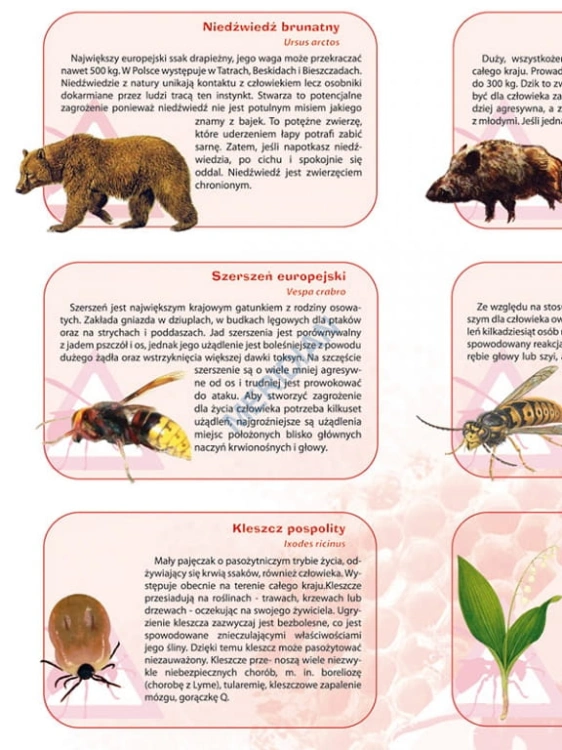 big_MR-BI-110_Niebezpieczne_zwierzeta_i_rosliny_w_Polsce_1_ (1).jpg