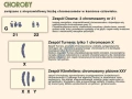 big_MR-BI-02_Podstawy_genetyki_-_chromosomy_w_komorce_czlowieka_1.jpg