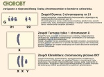 big_MR-BI-02_Podstawy_genetyki_-_chromosomy_w_komorce_czlowieka_1.jpg