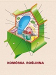 big_MR-BI-14_DUO_Komorki_-_jednostki_--ycia_tyl_1.jpg