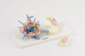 NEURON - komórka nerwowa - EDUKO