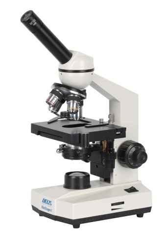 BioStage II.JPG