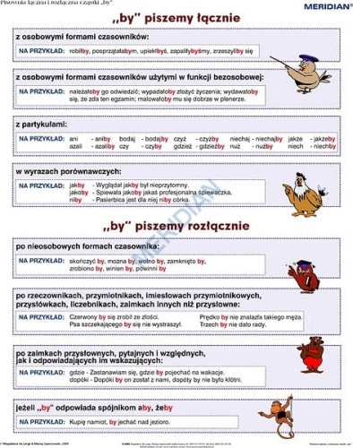 big_Pisownia_____czn_4af19039350fe.jpg