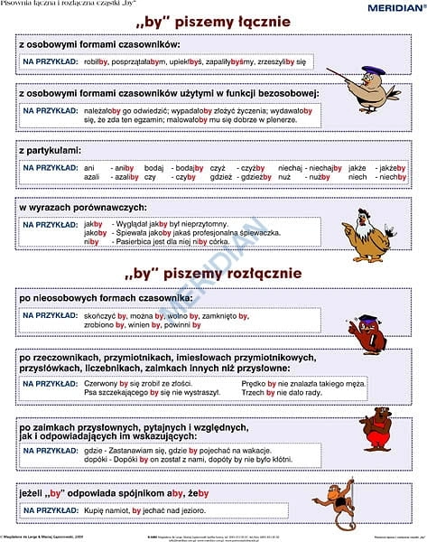 big_Pisownia_____czn_4af19039350fe.jpg