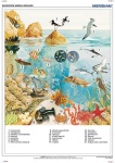 big_MR-BI-10-Ekosystem-morza-cieplego.jpg