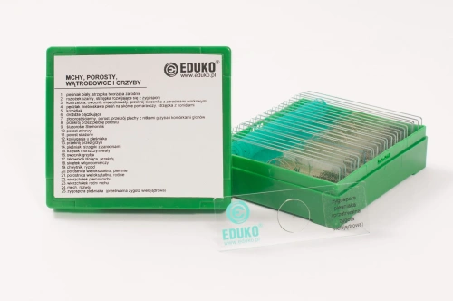 Mchy, porosty, wątrobowce i grzyby - zestaw 25 preparatów EDUKO
