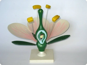 Kwiat brzoskwini - EDUKO