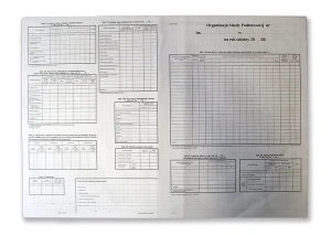 Organizacja szkoły podstawowej A2