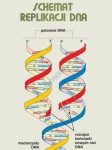 big_MR-BI-01_Podstawy_genetyki_DNA_1.jpg