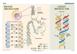 big_MR-BI-01-Podstawy-genetyki-DNA.jpg