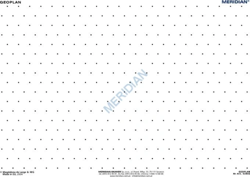 big_Geoplan_48ff1a449afec.jpg