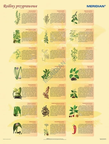 big_MR-BI-120-Rosliny-przyprawowe.jpg