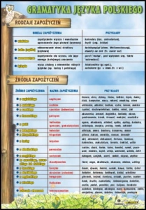 Rodzaje i źródła zapożyczeń