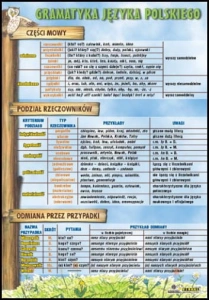 Części mowy, podział rzeczowników, przypadki