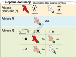 big_MR-BI-04_Podstawy_genetyki_-_prawa_Mendla_1.jpg
