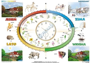 Rytmy przyrody -  ścienna plansza dydaktyczna 160x120