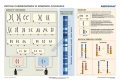 big_MR-BI-02-Podstawy-genetyki---chromosomy-w-komorce-czlowieka.jpg